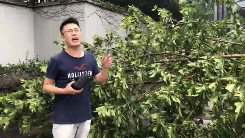 交通廣播記者婁邵明在市區(qū)被臺風折斷的樹木旁連線.jpg