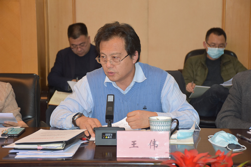 王偉副總編輯發(fā)言.JPG