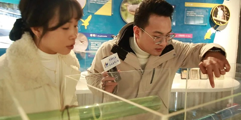 寧波臺記者蔣博在海曙區(qū)龍觀生物多樣性友好體驗(yàn)館內(nèi)，與館長朱桂飛觀察珍稀動物標(biāo)本。_副本.jpg